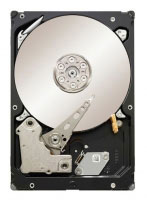 Seagate Constellation ES 7200.1 1TB (ST31000524NS)